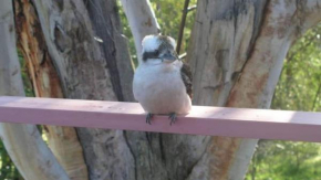 Kookaburra Dreaming - Only 400m from the beach